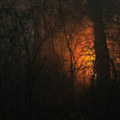 As Night Fell (Demo)