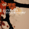 Autumn's Song (Original & Trinidadian Deep Remix) (VINYL ONLY)