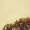 Catharsis
