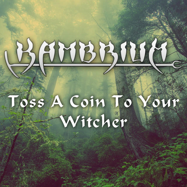 Toss a Coin to Your Witcher
