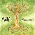 Akusztik [2013]