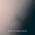 V/A - wisps of fairy fields