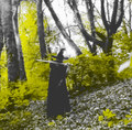 Burning Green