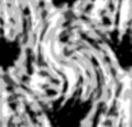 Venomenology