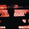 REDLIGHT DISTRICT / Destroy Him My Robots - hybrid edition