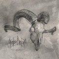 Into The Woods Of Oblivion (Acoustic EP)