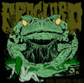 The Mystic Toad