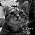 kattenes død