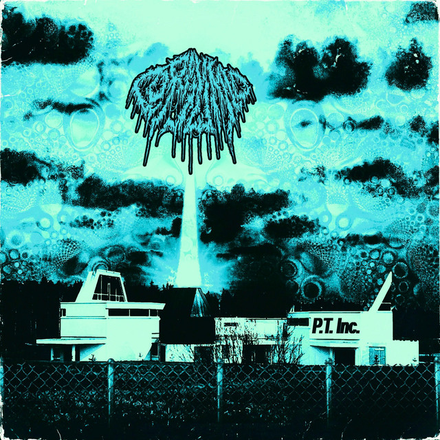 Psychonautical Travels Inc.