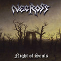Night of Souls (demo)