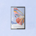 poor butterfly