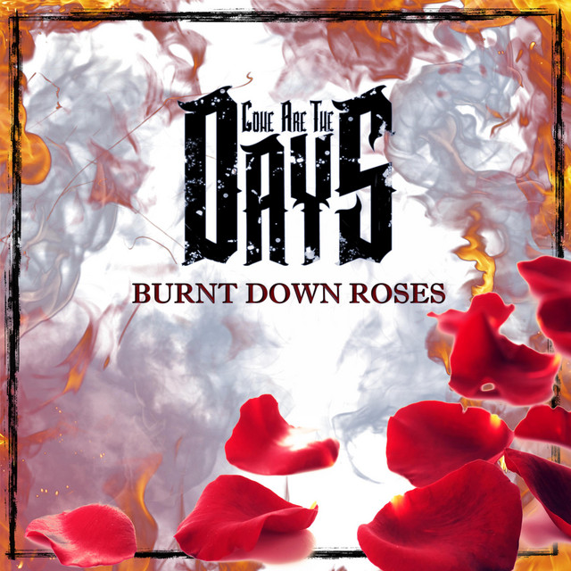 Burnt Down Roses