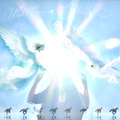 Wish Upon a White Owl
