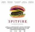 Spitfire Limited Edition Vinyl 7''