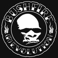 r-evolution (2007)