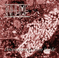 Decomposing From Inside