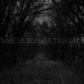 Bury Me Between Twin Oaks
