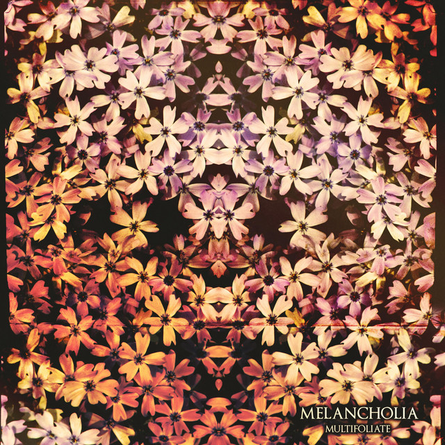 Multifoliate