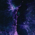 Сигнал (Single)