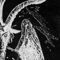 Engender The Goat (Demo)