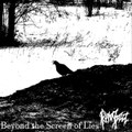 Beyond the Screen of Lies