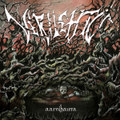 Aarnihauta
