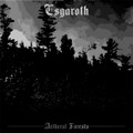 Aethereal Forests