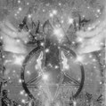 Mysteriis/Drightenlands split (only Blodarvs tracks)