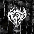 Crisis Act / Torn
