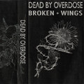 BROKEN + WINGS