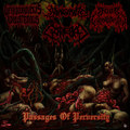 Passages of Perversity