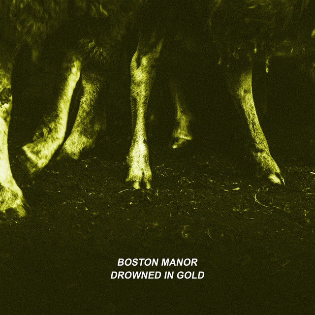 Drowned in Gold