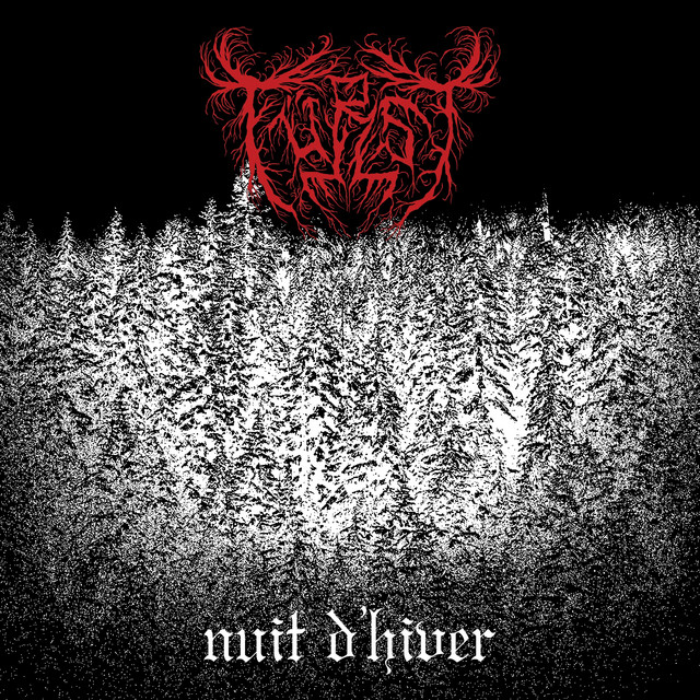 Nuit d'hiver