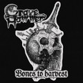 Bones to harvest