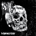 Putrefying Flesh