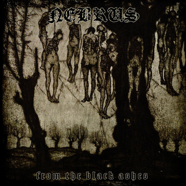 From the Black Ashes