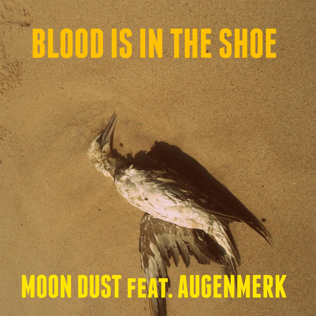 Blood Is in the Shoe