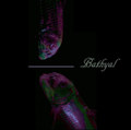 Bathyal 3