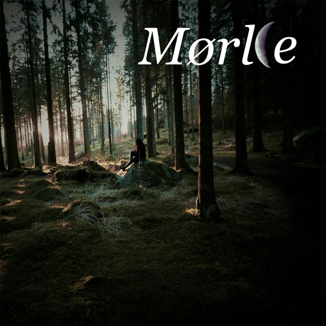 Lost in the Darkest Veil of Tragedies