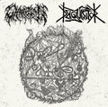 Chaotian - Deiquisitor Split
