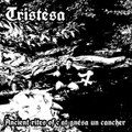 Ancient Rites of c'at gnesa un cancher