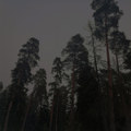 Калав (EP)