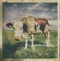 Atom Heart