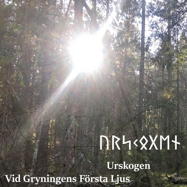 Vid Gryningens Första Ljus
