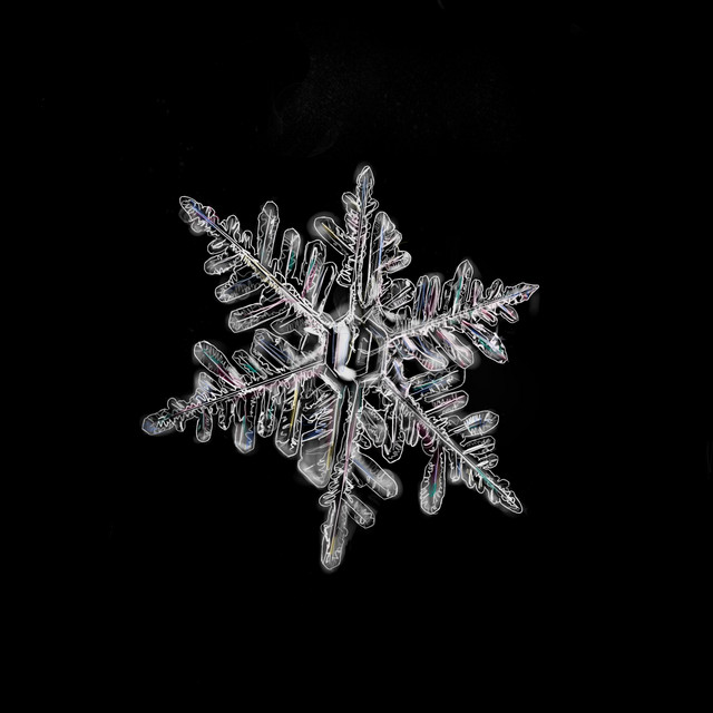 First Snowflakes