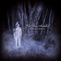 Concealed Silence