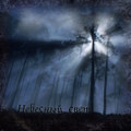 Небесный свет / Sky Light [Single]