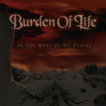 In The Wake Of My Demise
