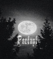 Fortapt