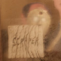 SCRAPER LP